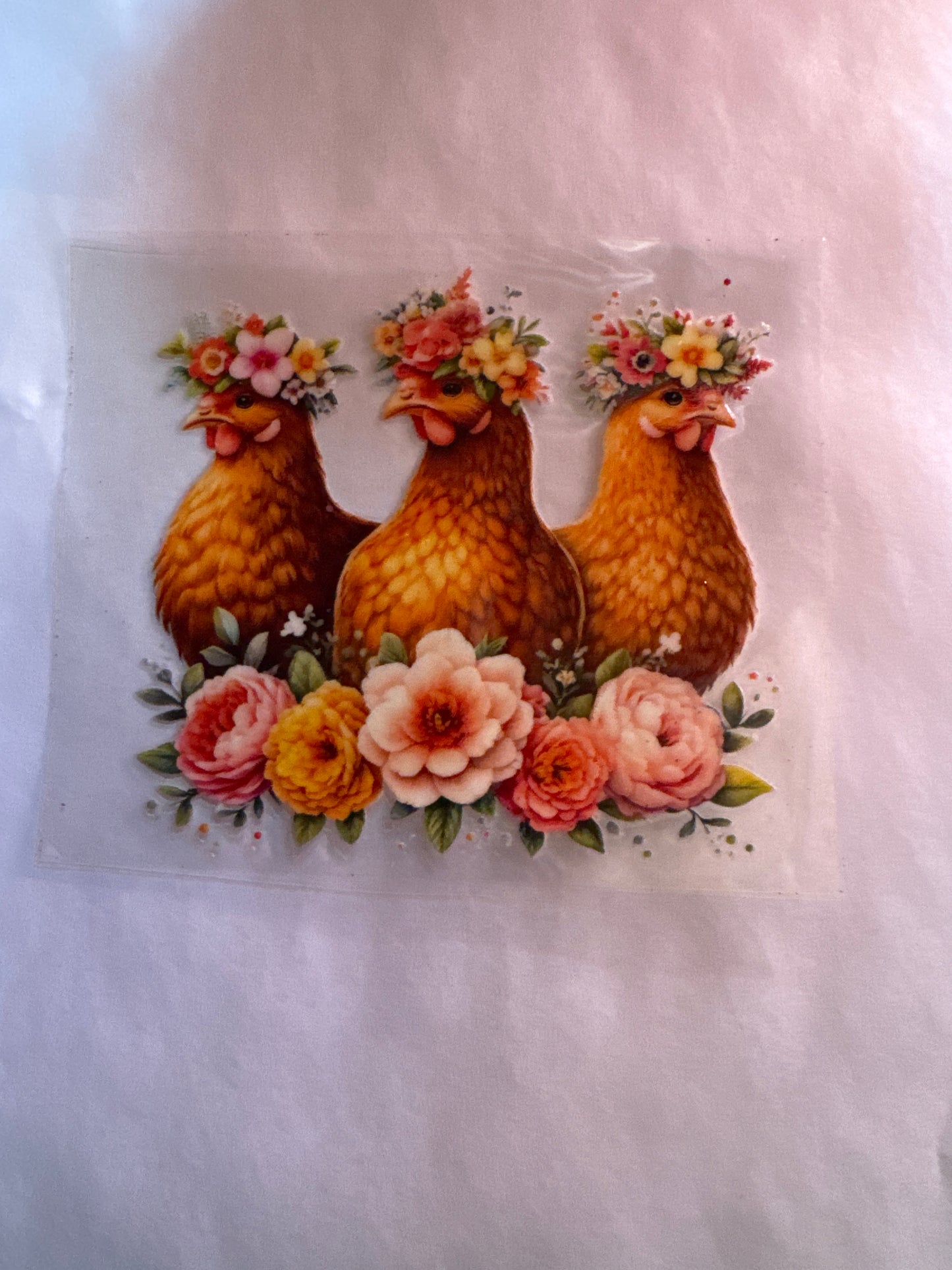 Chickens